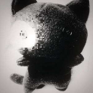 Meet your Posher, Ariel